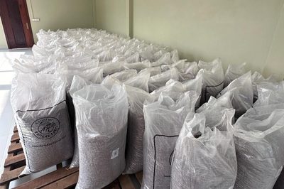Packed 30 kg Kamkav export bags ready for dispatch